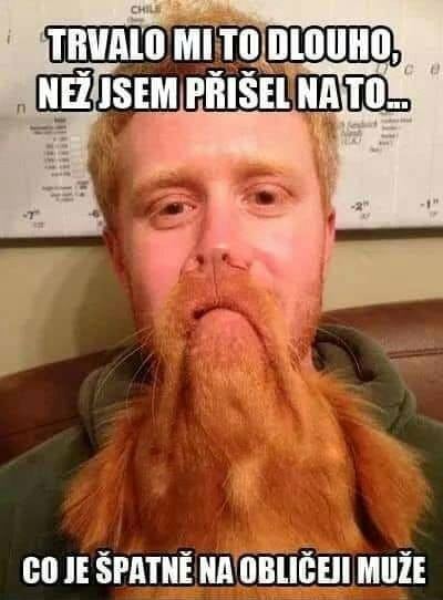 Tvár