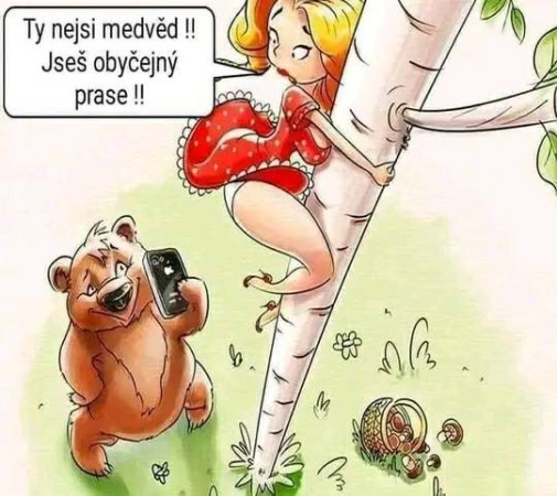 Nemedveď