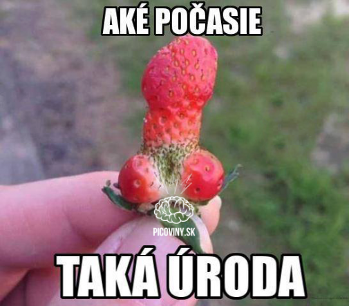 Aké počasie, taká úroda