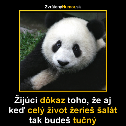 Šalát