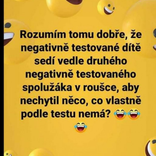 V škole