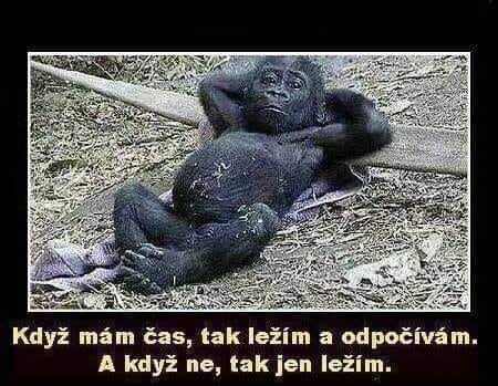 Keď mám čas