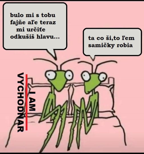 Co ši