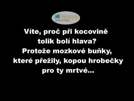 Prečo bolí hlava po opici
