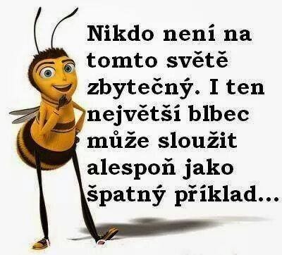 Nikto nie je zbytočný