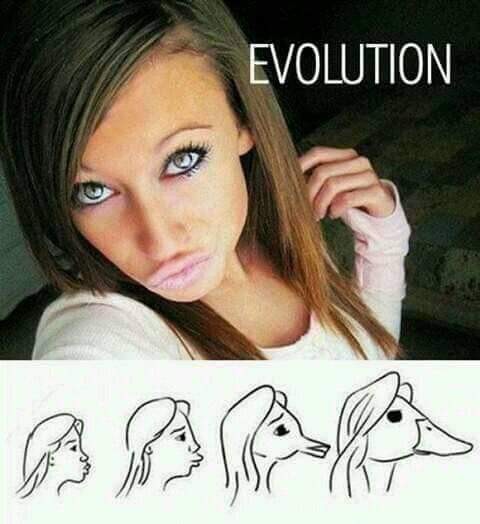 Evolcia