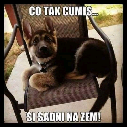 Si sadni