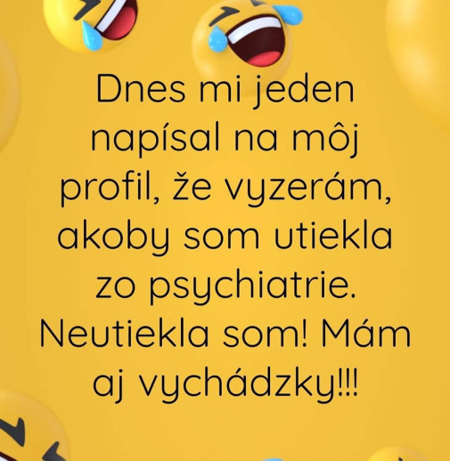 Vychádzky