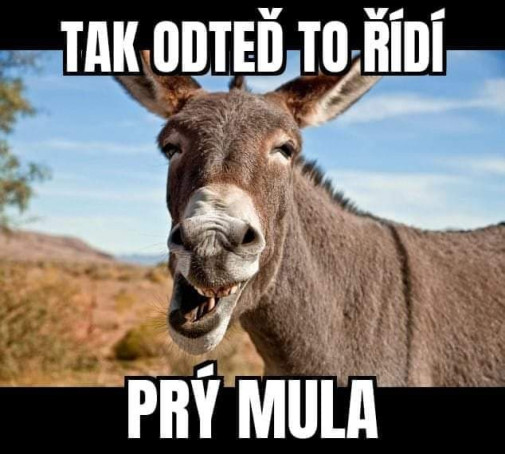Prý mula