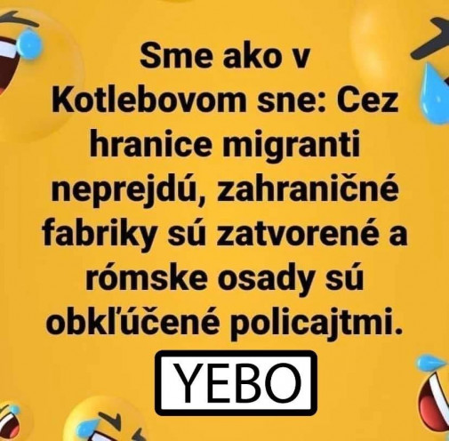 Vo sne