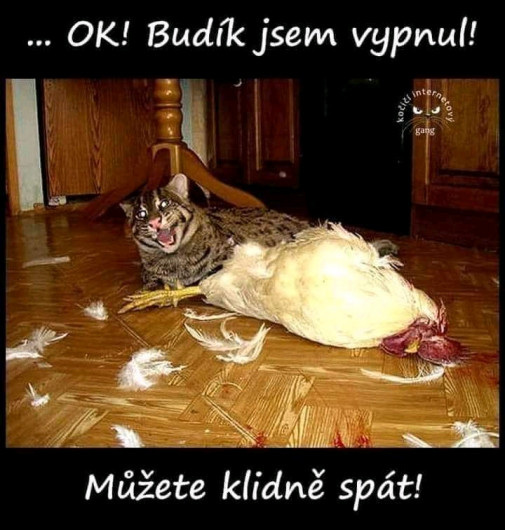 Budík