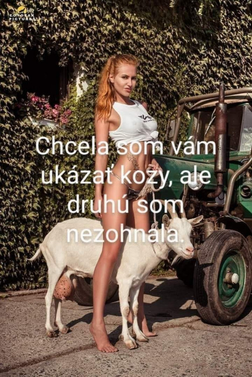 Kozy