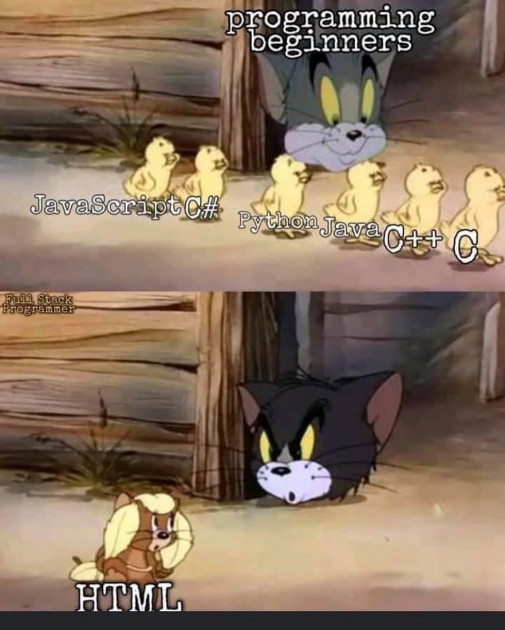 Programátorský
