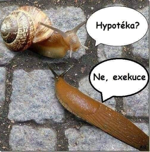 Exekúcia
