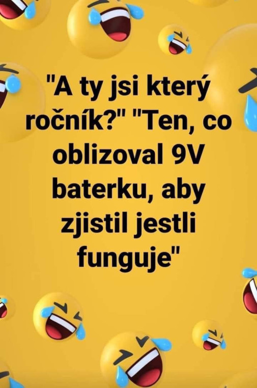 Ročník