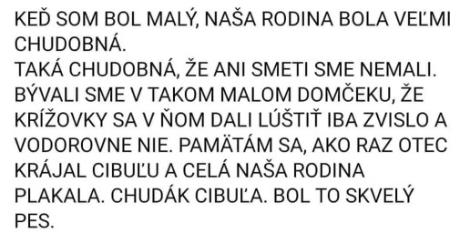 Cibuľa