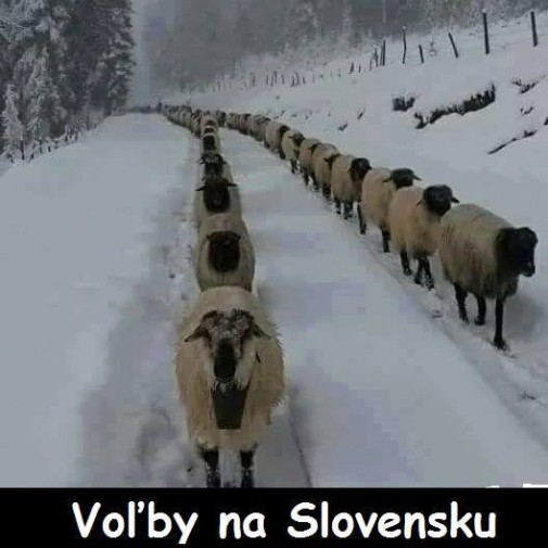 Voľby na Slovensku
