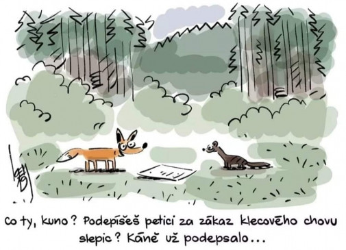 Podpíšeš?