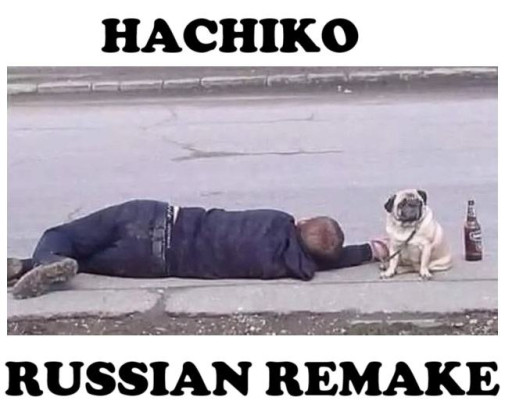 Stabilizovaná poloha