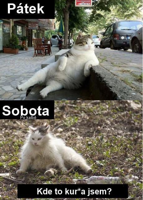 Víkendová story