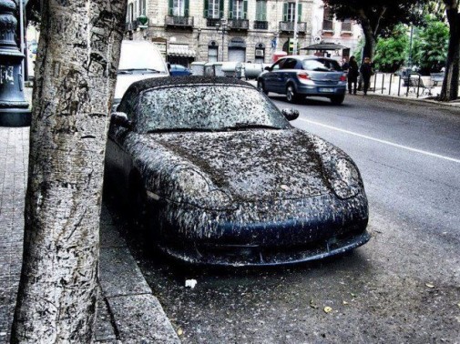 Porsche strieknute prírodou