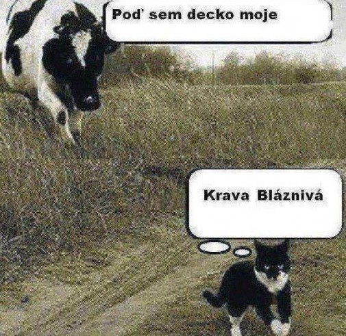 Decko moje